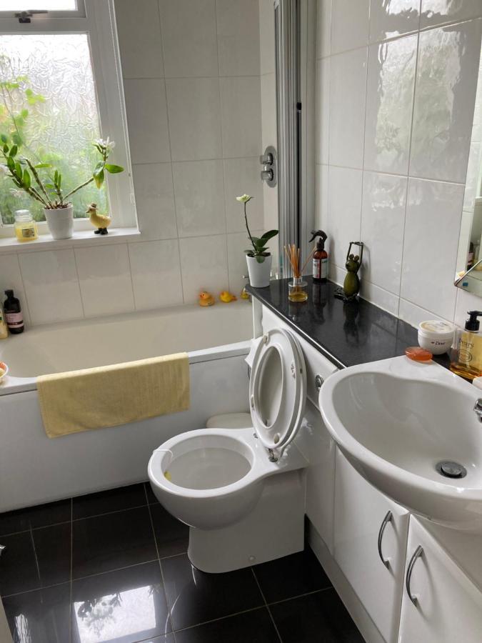 Rose Cottage Прествик Экстерьер фото
